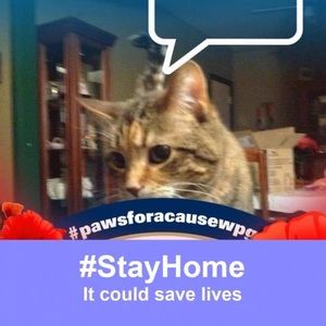 Meet your Posher, Trudy